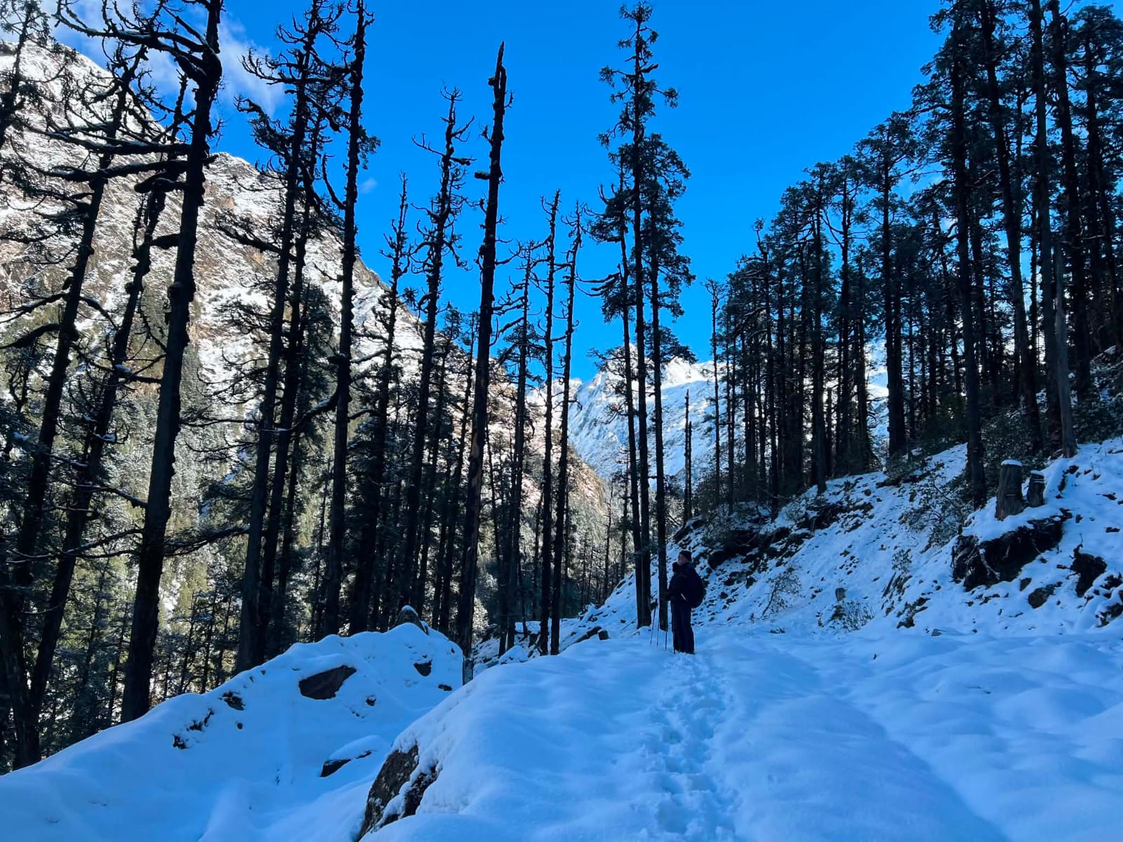 Ruby Valley Trek
